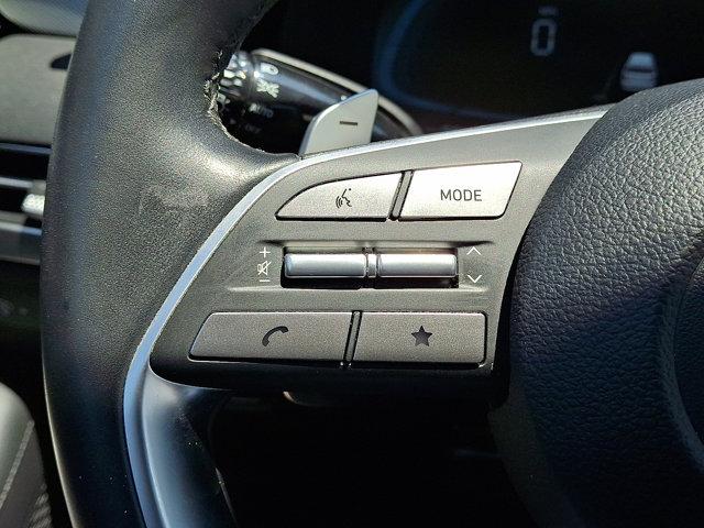 2023 Hyundai PALISADE Vehicle Photo in Philadelphia, PA 19116