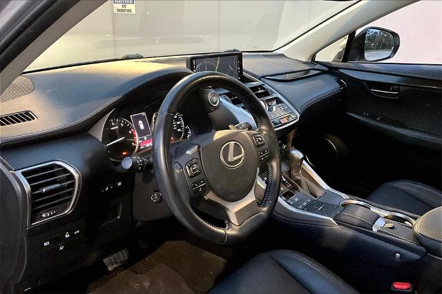 2019 Lexus NX 300 Vehicle Photo in Houston, TX 77007