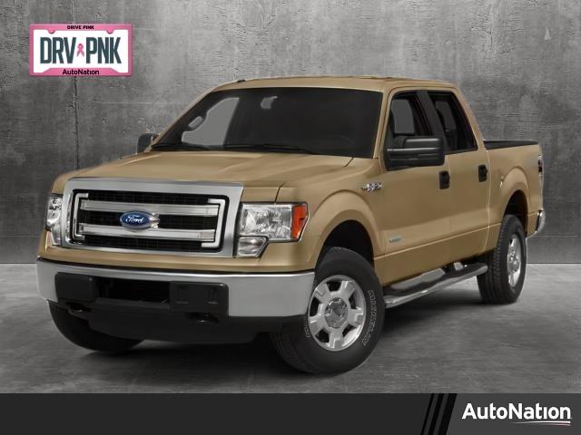 2014 Ford F-150 Vehicle Photo in NORTH RICHLAND HILLS, TX 76180-7199