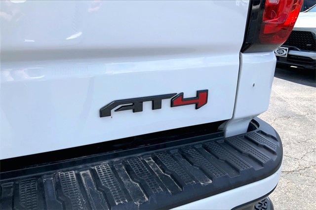 2020 GMC Sierra 1500 Vehicle Photo in INDEPENDENCE, MO 64055-1377