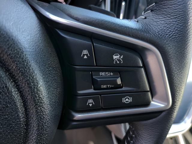 2025 Subaru Outback Vehicle Photo in Green Bay, WI 54304