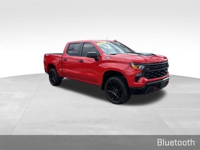 2022 Chevrolet Silverado 1500 Vehicle Photo in Fishers, IN 46038
