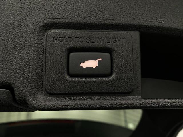2024 Acura RDX Vehicle Photo in Appleton, WI 54913