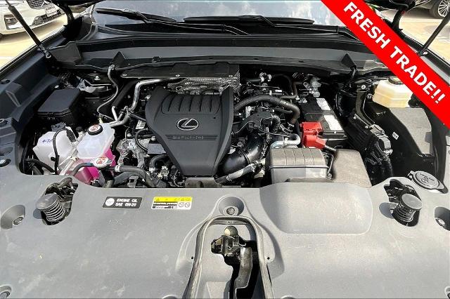 2024 Lexus TX 350 Vehicle Photo in San Antonio, TX 78230