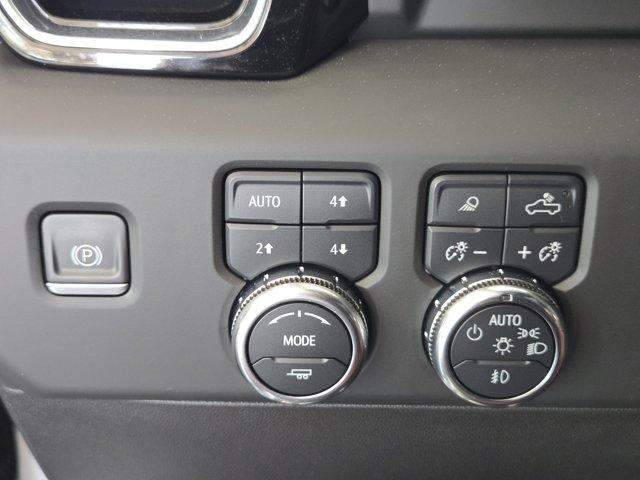 2023 GMC Sierra 1500 Vehicle Photo in Decatur, TX 76234