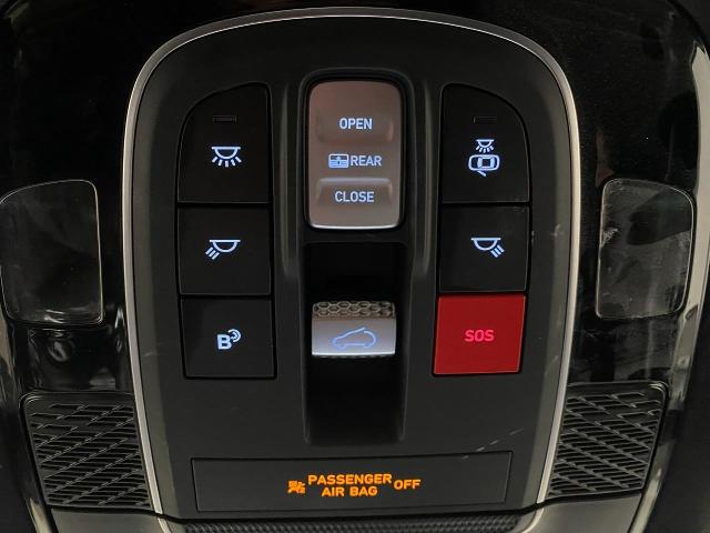 2024 Hyundai PALISADE Vehicle Photo in Appleton, WI 54913
