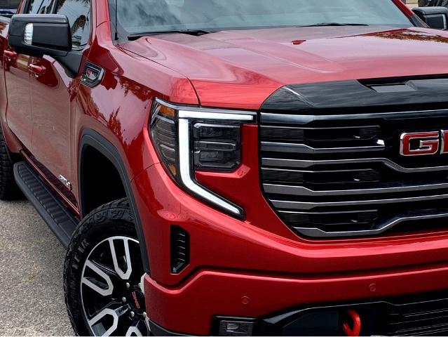 2025 GMC Sierra 1500 Vehicle Photo in BEAUFORT, SC 29906-4218