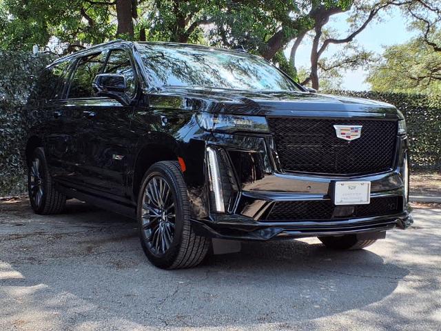 2023 Cadillac Escalade ESV Vehicle Photo in San Antonio, TX 78230-1001