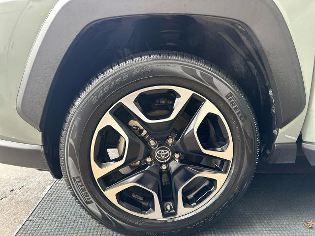 2019 Toyota RAV4 Vehicle Photo in DALLAS, TX 75209