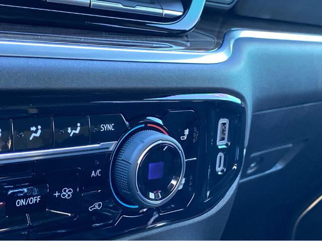 2025 Chevrolet Silverado 1500 Vehicle Photo in BEAUFORT, SC 29906-4218