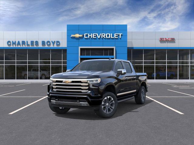 2025 Chevrolet Silverado 1500 Vehicle Photo in HENDERSON, NC 27536-2966