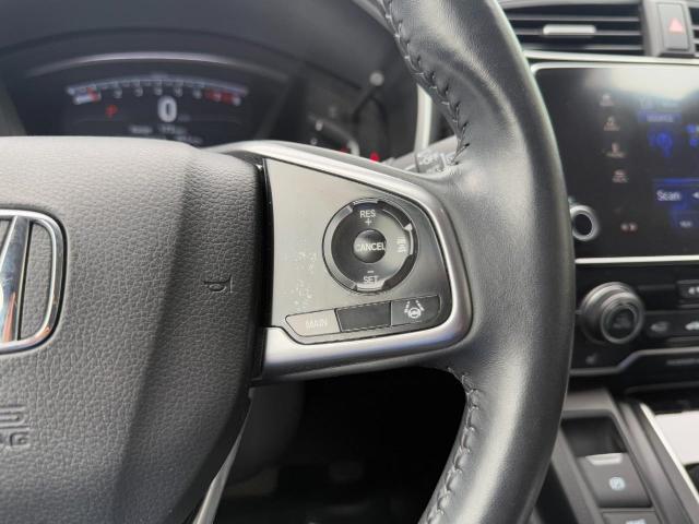 2022 Honda CR-V Vehicle Photo in Appleton, WI 54914