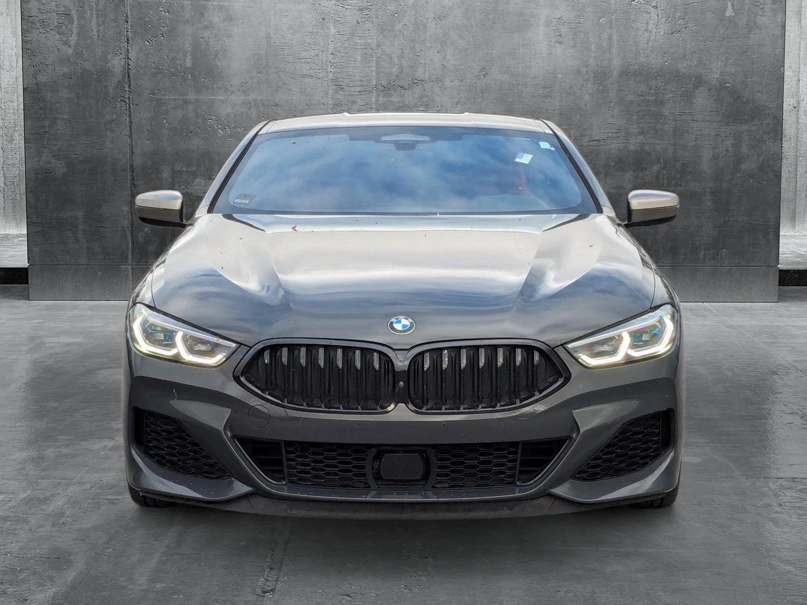 2019 BMW M850i xDrive Vehicle Photo in St. Petersburg, FL 33713