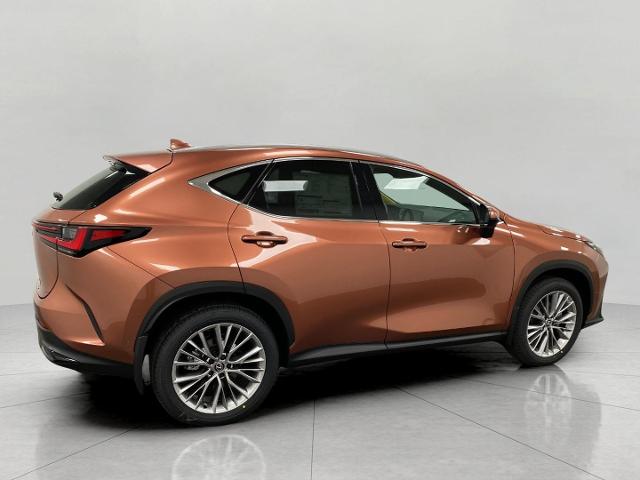2025 Lexus NX 350 Vehicle Photo in Appleton, WI 54913
