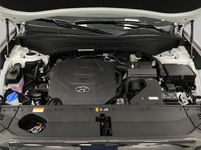 2025 Hyundai PALISADE Vehicle Photo in Appleton, WI 54913