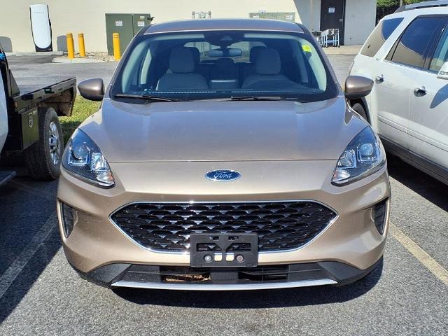 2020 Ford Escape Vehicle Photo in EMPORIA, VA 23847-1235