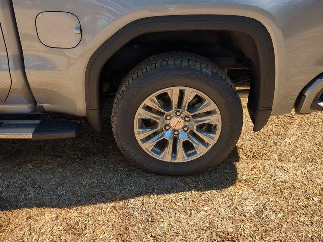 2025 GMC Sierra 1500 Vehicle Photo in ALBERTVILLE, AL 35950-0246