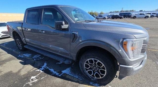 2023 Ford F-150 Vehicle Photo in San Antonio, TX 78230