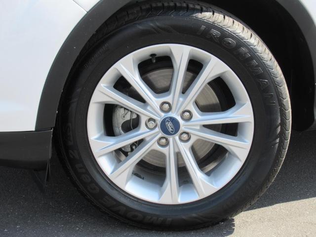 2019 Ford Escape Vehicle Photo in LEESBURG, FL 34788-4022