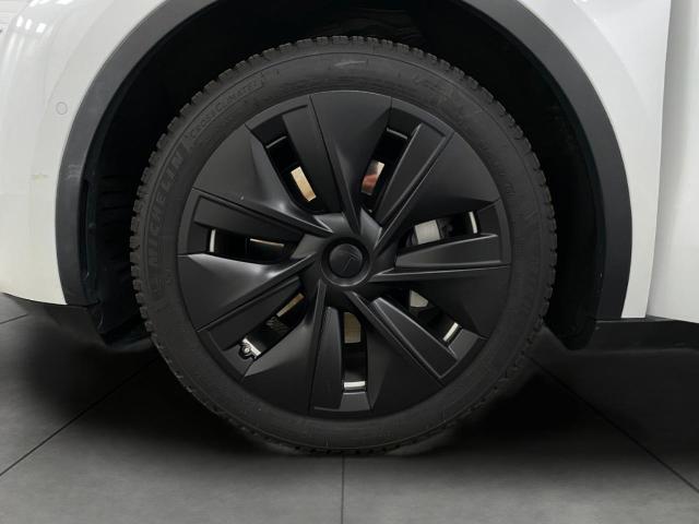 2021 Tesla Model Y Vehicle Photo in Appleton, WI 54913