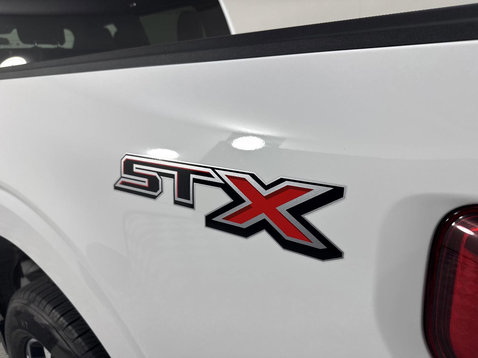 2023 Ford F-150 Vehicle Photo in GEORGETOWN, TX 78626-7508