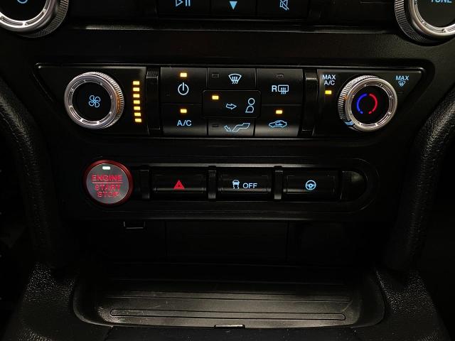 2019 Ford Mustang Vehicle Photo in Appleton, WI 54913