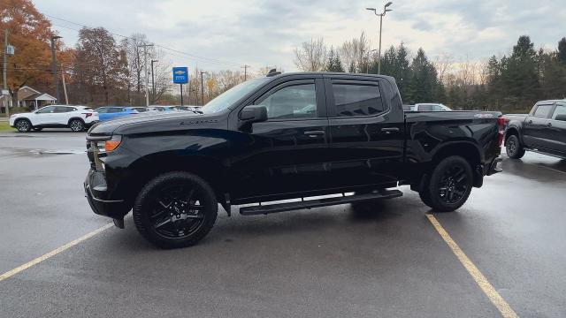 2022 Chevrolet Silverado 1500 Vehicle Photo in BOSTON, NY 14025-9684