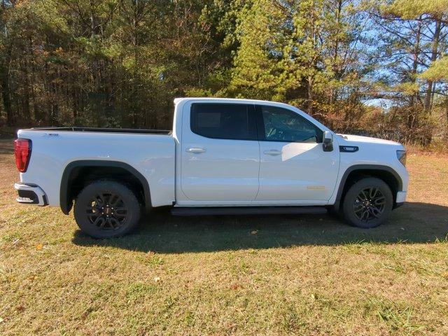 2025 GMC Sierra 1500 Vehicle Photo in ALBERTVILLE, AL 35950-0246