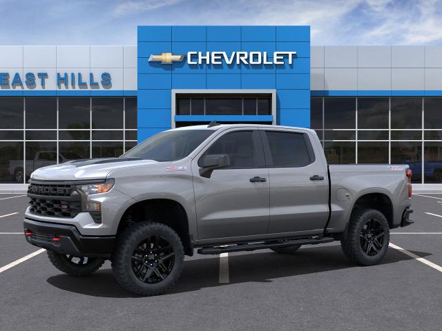 2025 Chevrolet Silverado 1500 Vehicle Photo in Roslyn, NY 11576