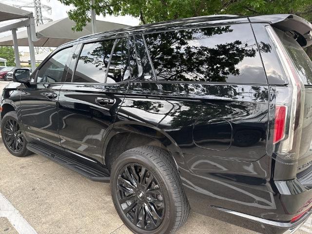 2022 Cadillac Escalade Vehicle Photo in San Antonio, TX 78230