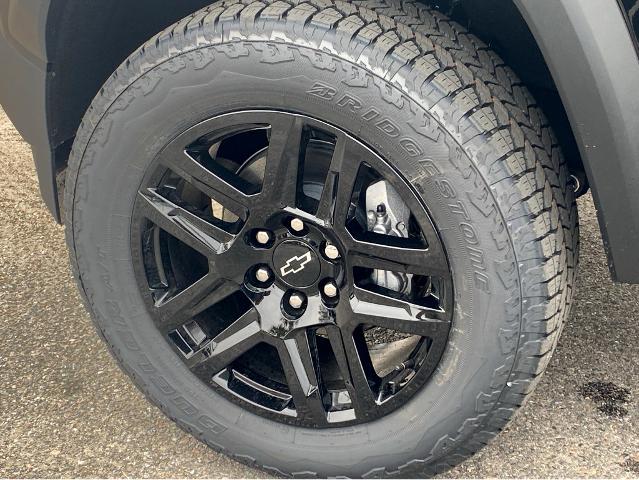 2025 Chevrolet Colorado Vehicle Photo in BEAUFORT, SC 29906-4218