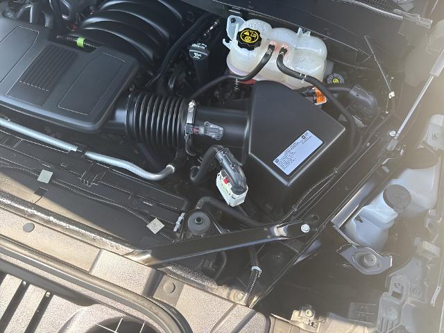 2019 Chevrolet Silverado 1500 Vehicle Photo in MANITOWOC, WI 54220-5838
