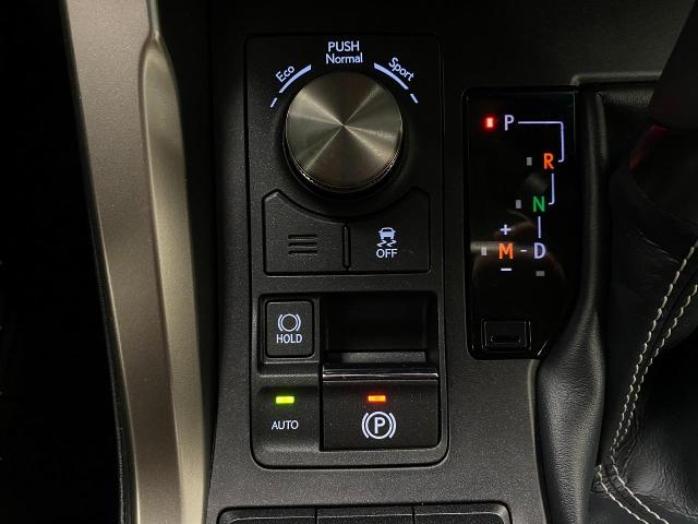 2019 Lexus NX 300 Vehicle Photo in Appleton, WI 54913