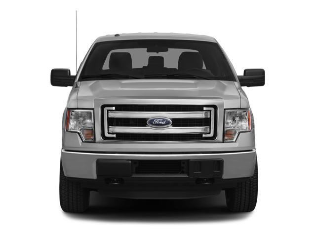 2013 Ford F-150 Vehicle Photo in San Antonio, TX 78230