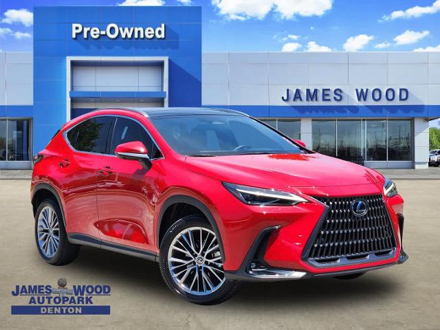 2022 Lexus NX 350 Vehicle Photo in DENTON, TX 76210-9321