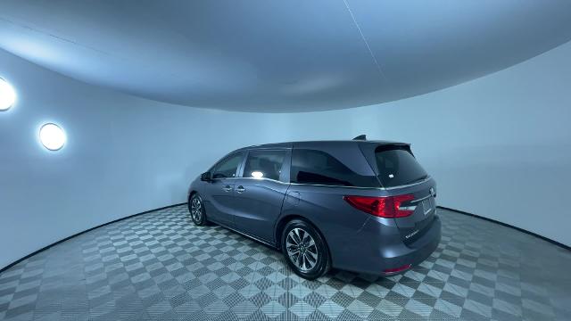 2021 Honda Odyssey Vehicle Photo in GILBERT, AZ 85297-0402