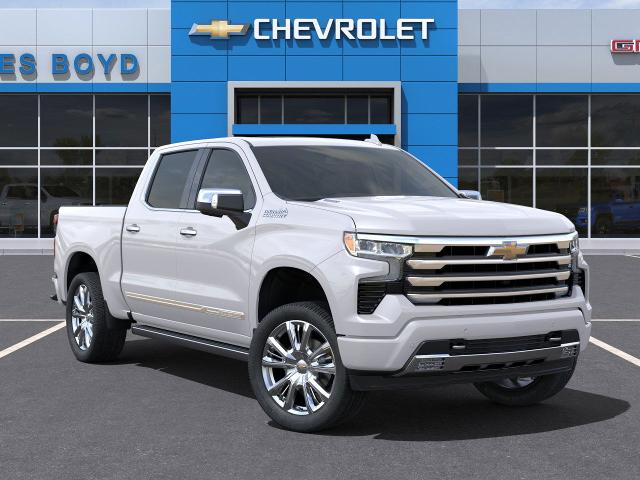 2025 Chevrolet Silverado 1500 Vehicle Photo in HENDERSON, NC 27536-2966