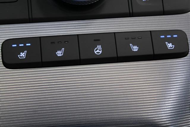 2023 Hyundai PALISADE Vehicle Photo in Green Bay, WI 54304