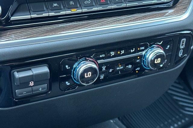 2025 GMC Sierra 1500 Vehicle Photo in STOCKTON, CA 95212-2838