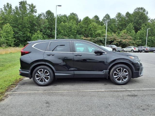 2022 Honda CR-V Vehicle Photo in EMPORIA, VA 23847-1235