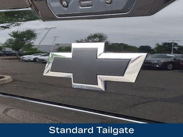 2023 Chevrolet Silverado 1500 Vehicle Photo in PAWLING, NY 12564-3219