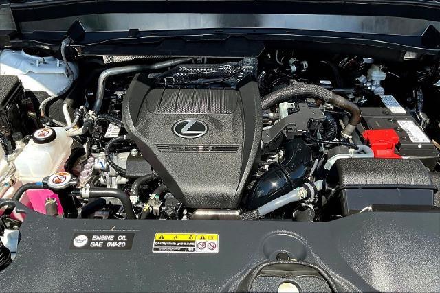 2024 Lexus TX 350 Vehicle Photo in San Antonio, TX 78230