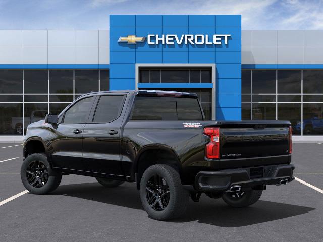 2025 Chevrolet Silverado 1500 Vehicle Photo in TIMONIUM, MD 21093-2300