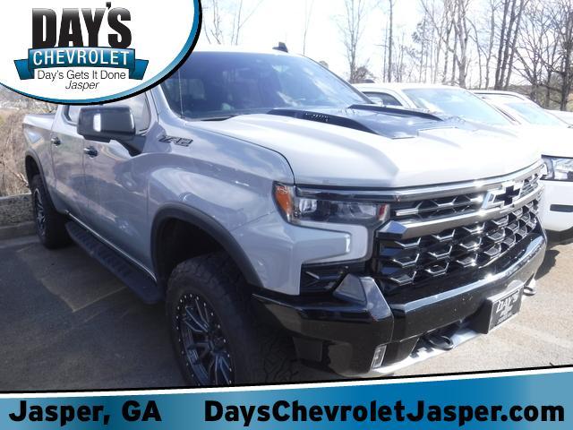 2024 Chevrolet Silverado 1500 Vehicle Photo in JASPER, GA 30143-8655