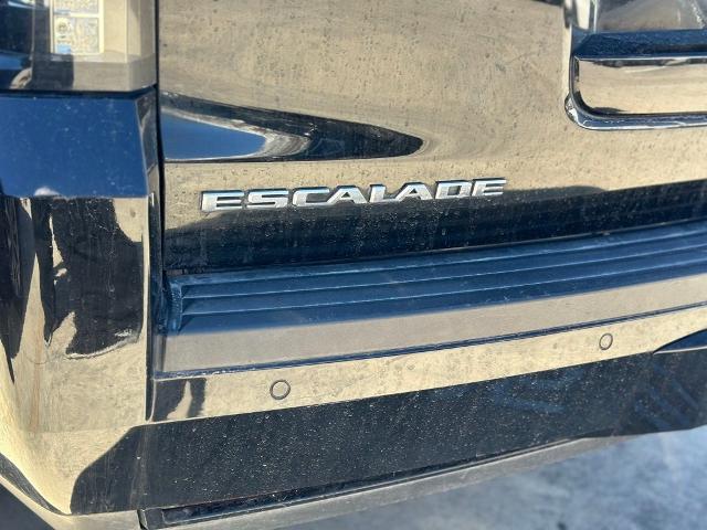 2019 Cadillac Escalade Vehicle Photo in San Antonio, TX 78230