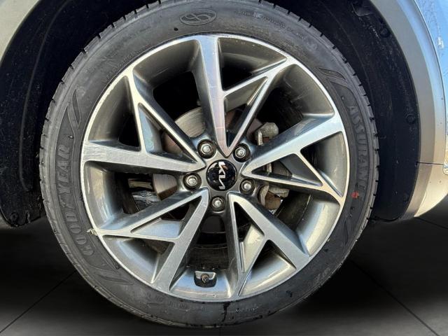 2022 Kia Niro Vehicle Photo in Oshkosh, WI 54904