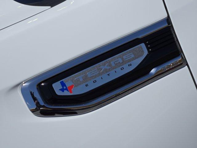 2021 GMC Sierra 1500 Vehicle Photo in Decatur, TX 76234