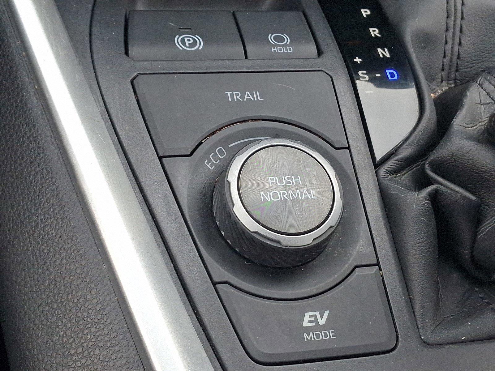 2019 Toyota RAV4 Vehicle Photo in Harrisburg, PA 17111