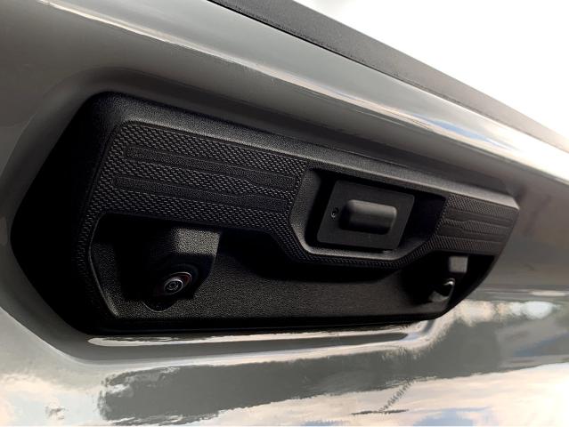 2025 Chevrolet Silverado 1500 Vehicle Photo in BEAUFORT, SC 29906-4218