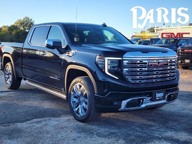 2025 GMC Sierra 1500 Vehicle Photo in PARIS, TX 75460-2116